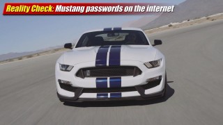 Reality Check: Mustang passwords on the internet